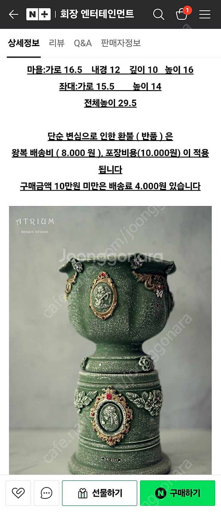 아뜨리움 토분 제라늄 희귀식물 두갸르송--4